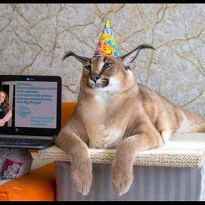 Meet your Posher, Kurt